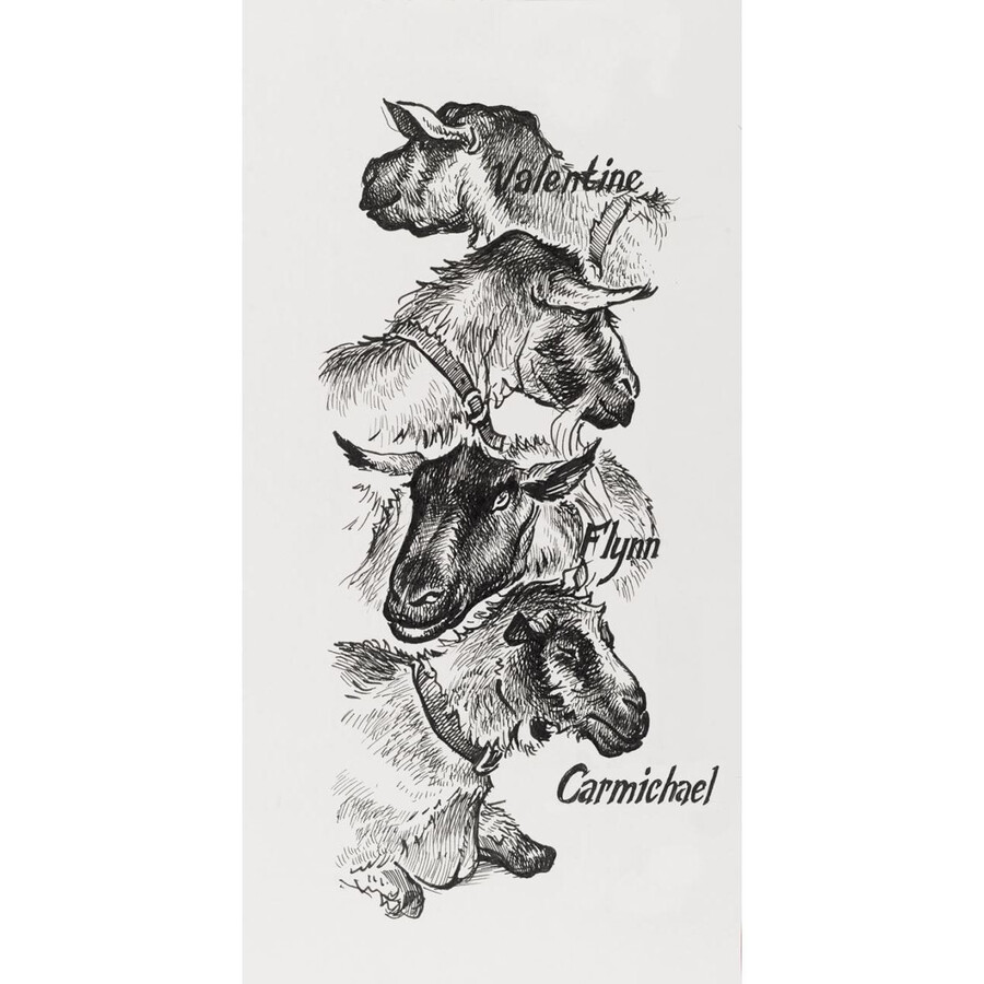 pitt artist pen hemijska olovka s tintom india ink