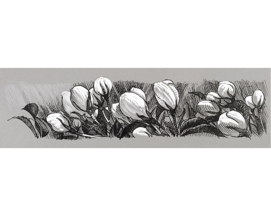 pitt artist pen hemijska olovka s tintom india ink