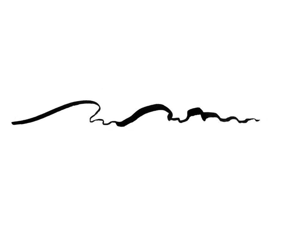 pitt artist pen brush indijska tinta