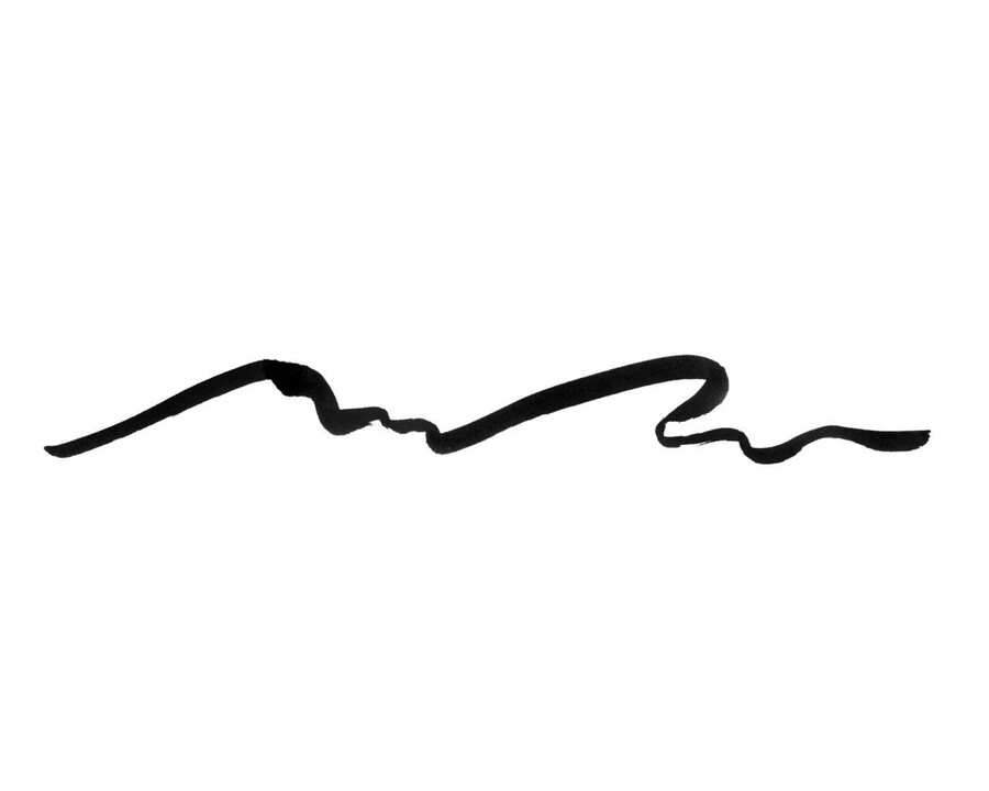 pitt artist pen big brush indijska tinta